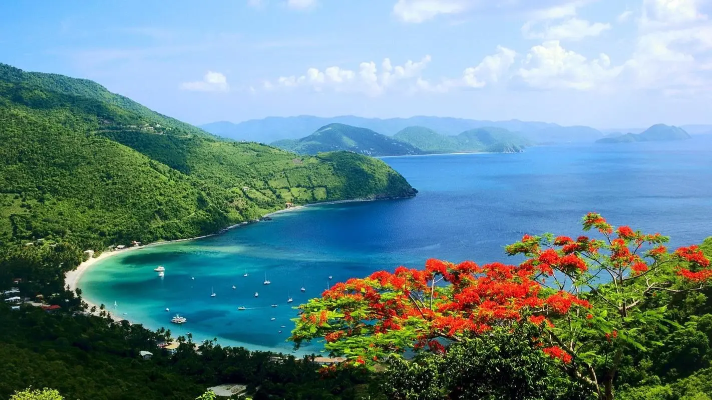 网络化节能